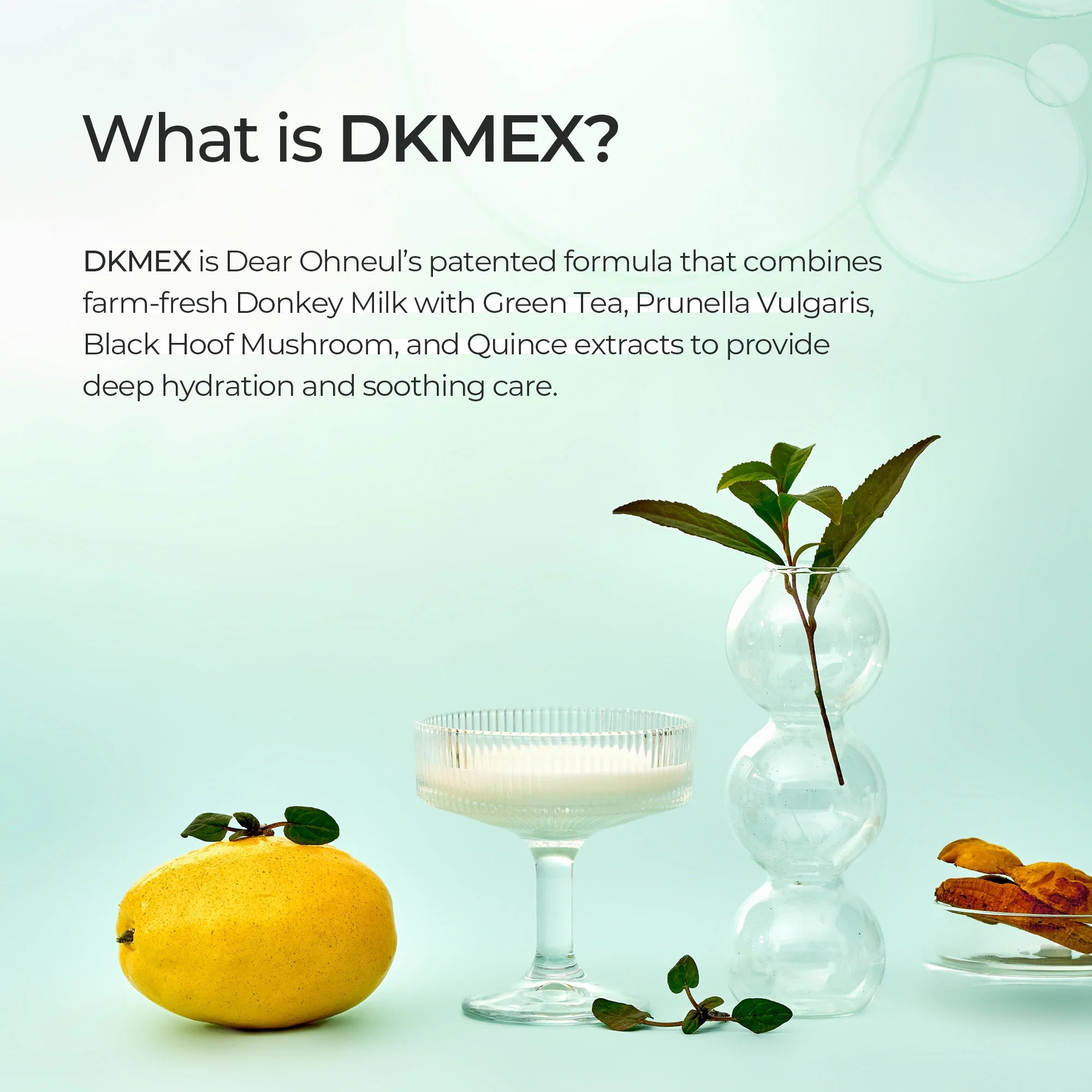 DEAR OHNEUL - DKMEX Ampoule